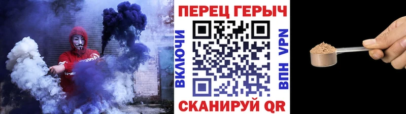 ГЕРОИН хмурый  Пугачёв 