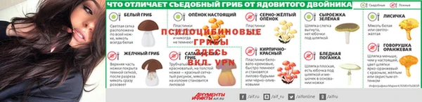 не бодяженный Осташков