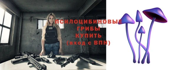 Альфа ПВП Алзамай